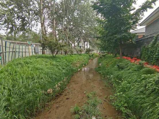 总经理助理张守磊以及水工