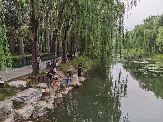 园林景观部门负责人一行前往玉泉山南支